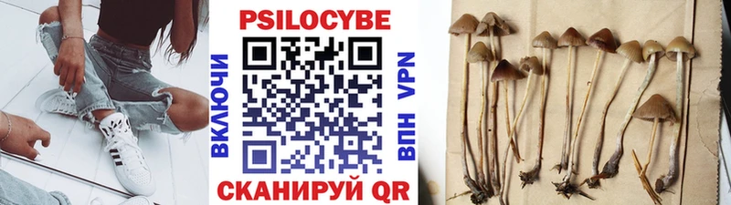 Псилоцибиновые грибы мухоморы  Ухта 