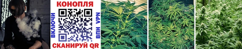 Марихуана THC 21%  Ухта 